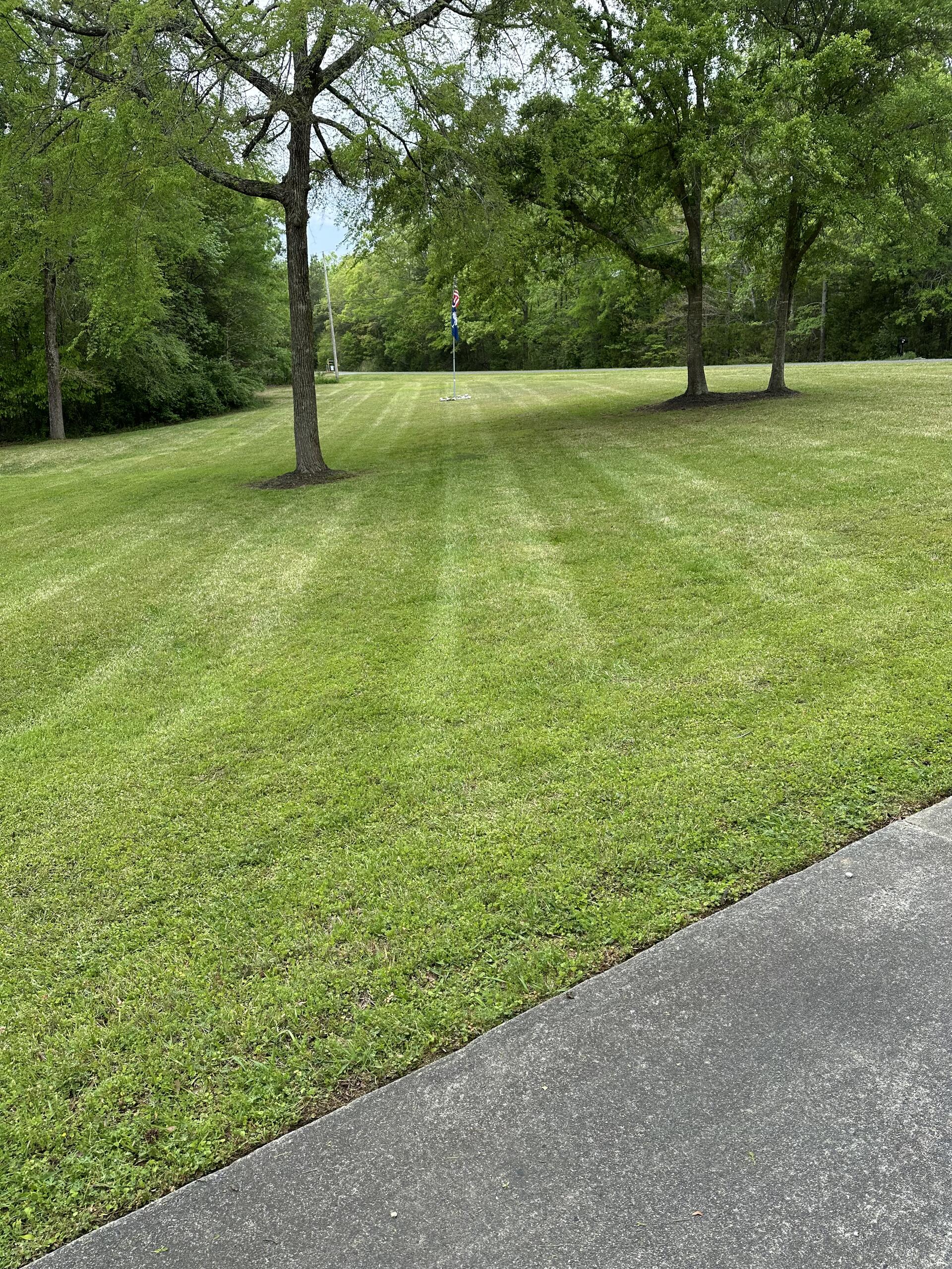Lawn Maintenance work by Southern Turf